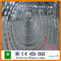 ISO9001 High tensile galvanized crossed razor wire fencing