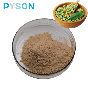 Free Sample Green Coffee Bean Extract Powder