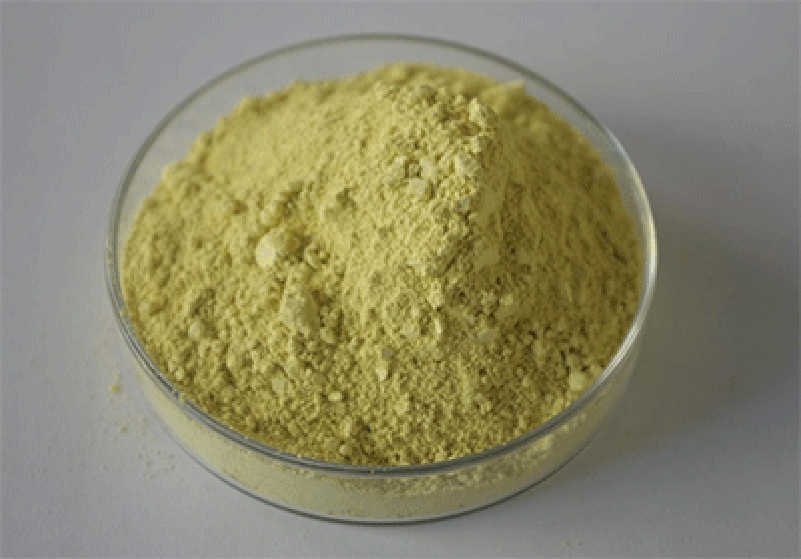 Yam Extract