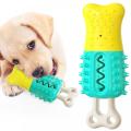 hot and new dog chew toy