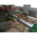 Apricot Drying Machine