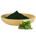 Poudre de protéine de chlorella d&#39;algues vertes de qualité alimentaire