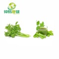 Celery juice powder Celery extract Powder