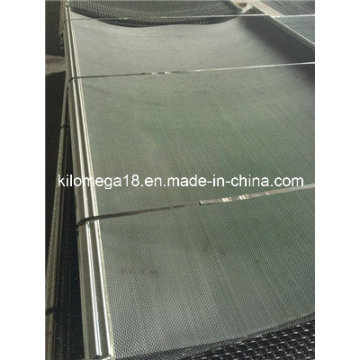 High Carben Steel Screen 65m with Good Quality for Sale