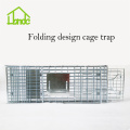 Best Live Animal Cage Traps