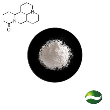 Favorable Price Plant Extract 98% Sophoridine