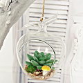 Wholesale Apple Shaped Glass Hanging Air Plant Terrarium