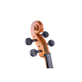 Tayste Quality Maple Cello 4/4