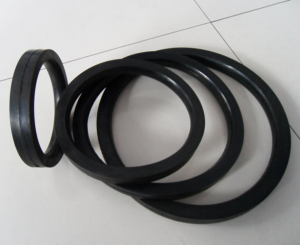 Oil Seal Product