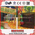 Indoor Amusement Park Equipment for Recreation Center