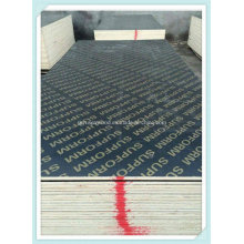 Black/Brown Film Faced Plywood with Melamine Glue for Construction Plywood Concrete Formwork