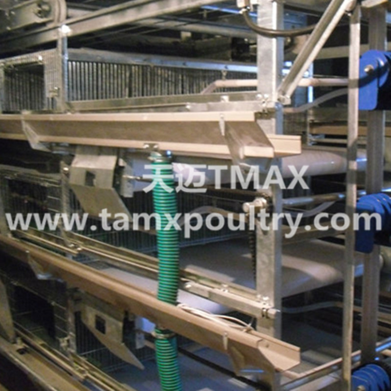 H Type Broiler Cage