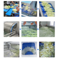 Parsley Spinach Salad Production Line Processing Solution