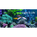 Super Bright LED Aquarium Lamp Fish Tank Light