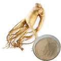 Natural Herbal Ginsenoside Powder Panax Ginseng Root Extract