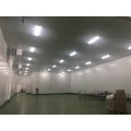2ft 20w LED-Röhrenlicht