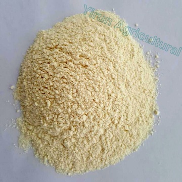 Top Quality Ginger Extract Powder for Export