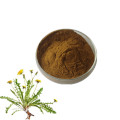 Herbal Extract 3% Flavone Dandelion Root Extract Powder