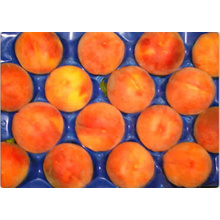 Thermoformed Perforated Blister Exported Fruit Packing Trays for Peach and Stone Fruit