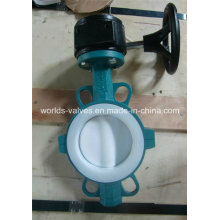 PTFE Full Coated Two PCS Body Industrial Butterfly Valve with Ce & ISO Approved (D71X-10/16)