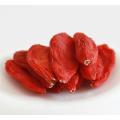 Oval Shape Dried Style Organic Goji Berry