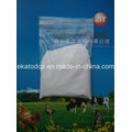 Hot Sale and Competitive Feed Grade TCP 21%