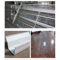 Automatic A Type Broiler Cage