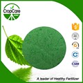 Powder NPK 30-10-10+Te Low Price Agriculture Fertilizers