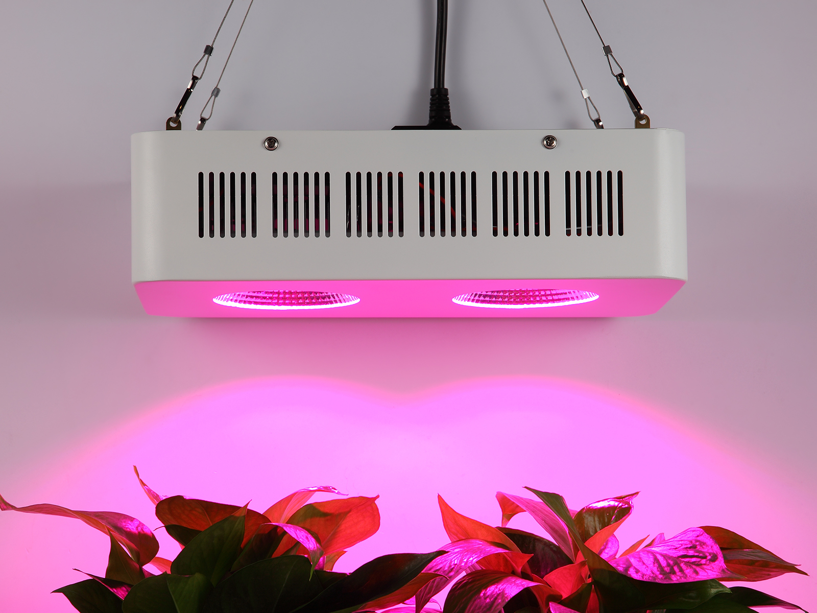 LED grow light 