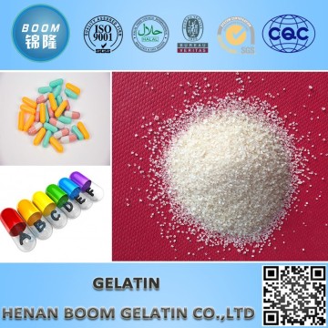 160 bloom bovine skin food gelatin