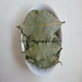 Bay Leaves, Bay Leaves Powder