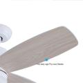 Ac Plywood Blade Ceiling Fan With Remote Control