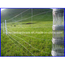 Hot Sale Veldspan Charnière Joint Knot Farm Fence