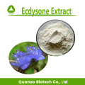 Extrato de Ecdisona 40% 50% 100% natural