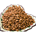 Apricot Kernels Almond Nuts