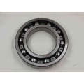 Single Row Deep Groove Ball Bearing (16021)