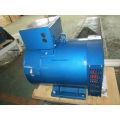 8kw St AC Genarator/Alternator 230V