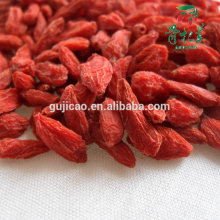 rote China Wolfberry Polysaccharide Goji Extrakt Goji-Beere