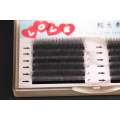 Private label premade fans volume lashes