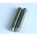 High Quality Permanent Stainless Steel Neodymium Cow Magnet