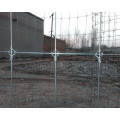 Heavy galvanized Field Fixed Knot Fencing