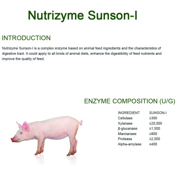 Enzyme complexe améliorant la digestibilité des aliments pour tous les animaux