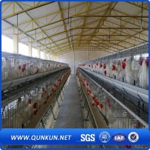 Cage de cire de poulet à prix d&#39;usine à vendre