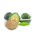 Spray Dried Avocado Fruit Powder