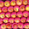 Fresh Huaguan Apple Best Quality