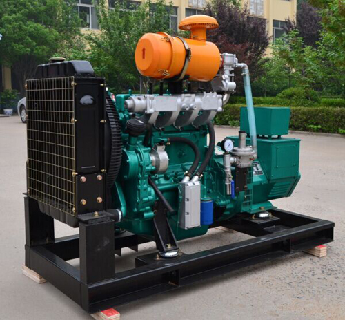 Gas Powered Generator