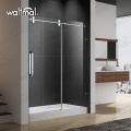 5 Ft Frameless Sliding Glass Shower Door