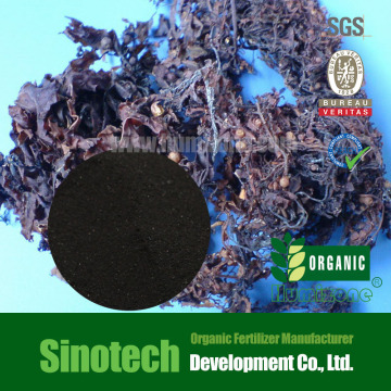 Humizone Nutrients Fertilizer: Seaweed Extract Powder (SWE-P)