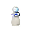 Company Welcome Interactive Talking Robots