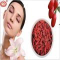 Organic Air Dried  Red Goji Berry Fruit